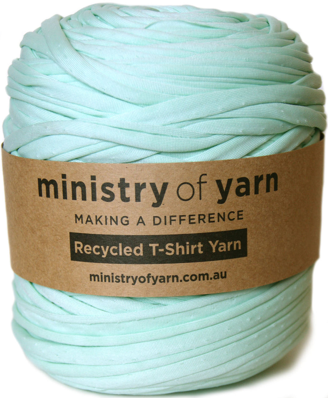 light aqua recycled synthetic tshirt yarn Australia Ministry of Yarn